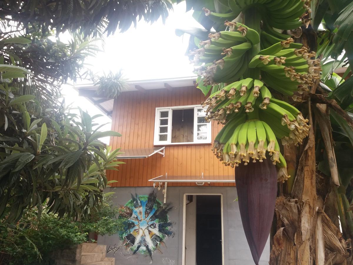 Hostel Casa Terra Флорианополис Экстерьер фото